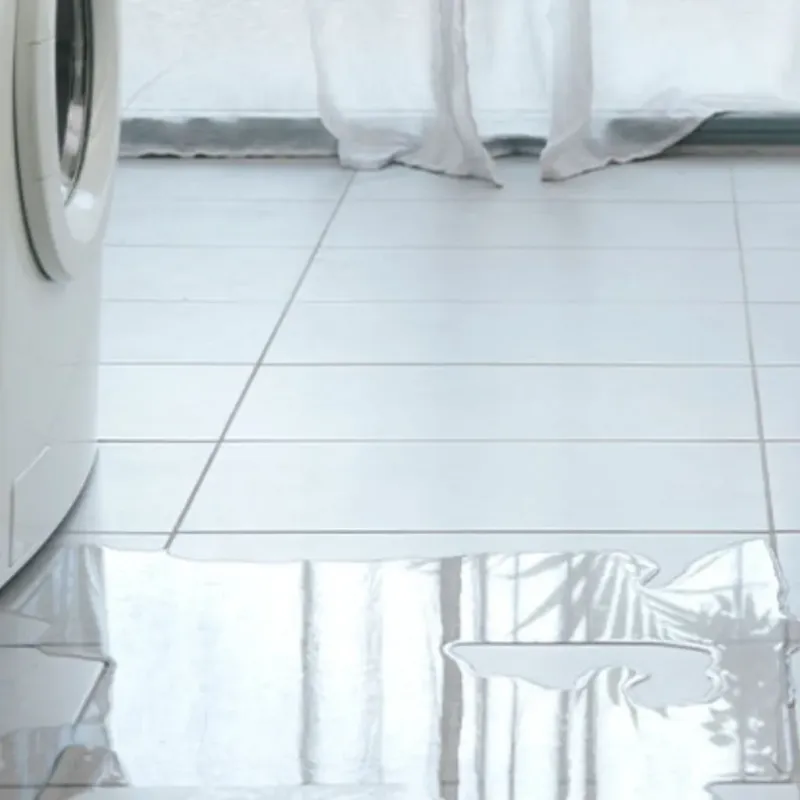 Appliance Leak Cleanup in Sebastian, TX