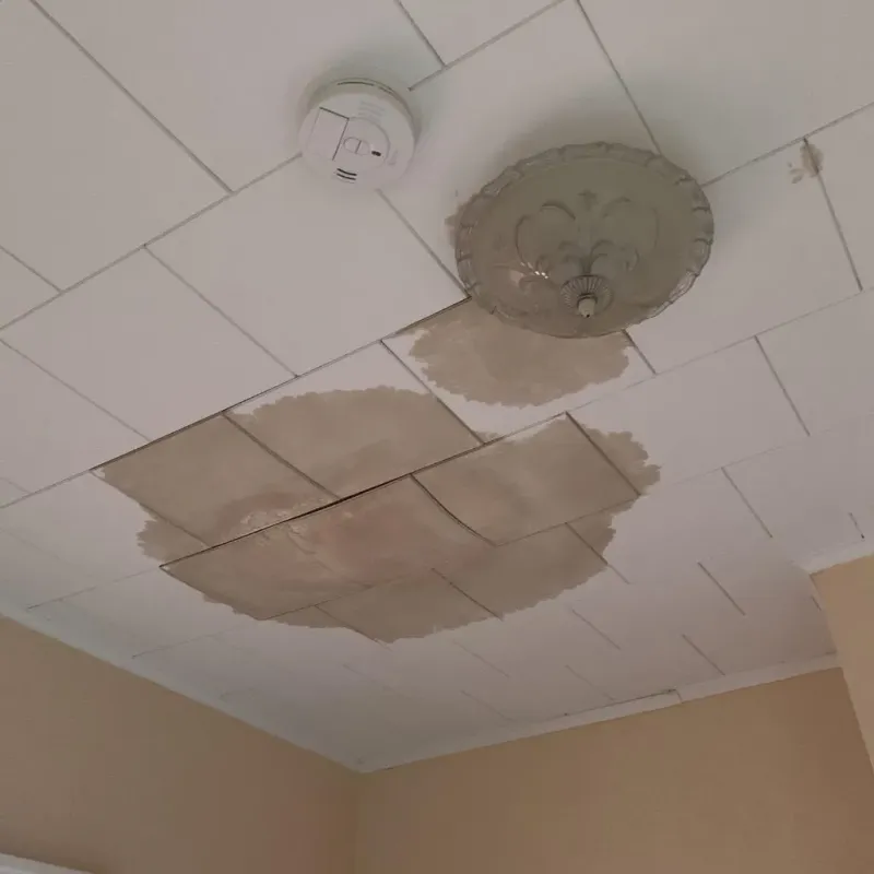 Ceiling Water Damage Repair in Sebastian, TX