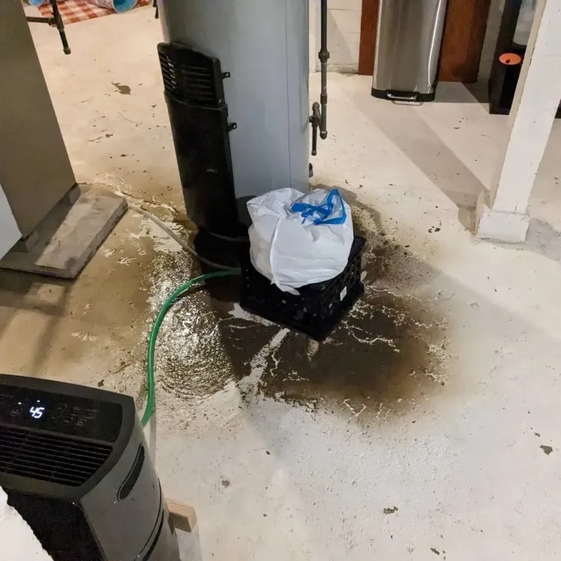 Sewage Backup Cleanup Service in Sebastian, TX
